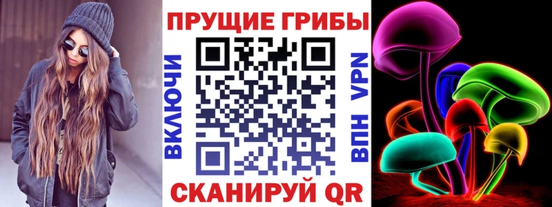 закладка  Грязи  Галлюциногенные грибы Psilocybine cubensis 